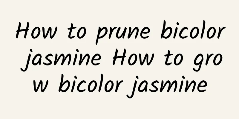 How to prune bicolor jasmine How to grow bicolor jasmine