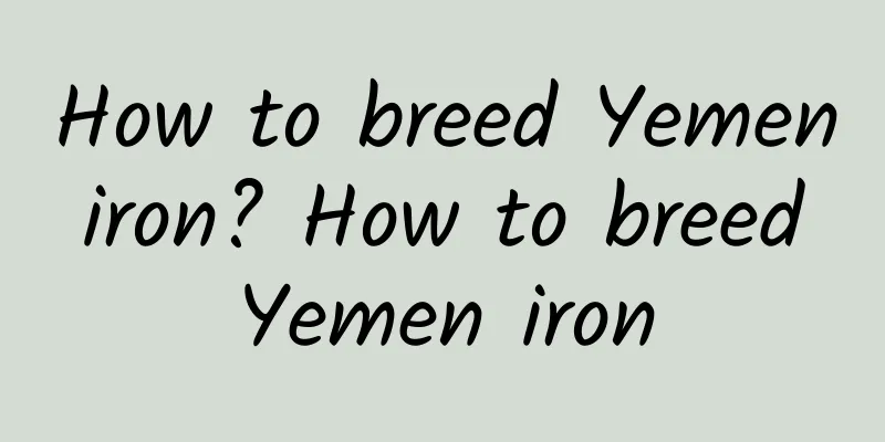 How to breed Yemen iron? How to breed Yemen iron