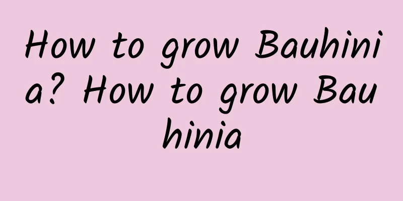 How to grow Bauhinia? How to grow Bauhinia