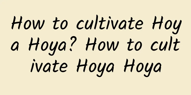 How to cultivate Hoya Hoya? How to cultivate Hoya Hoya