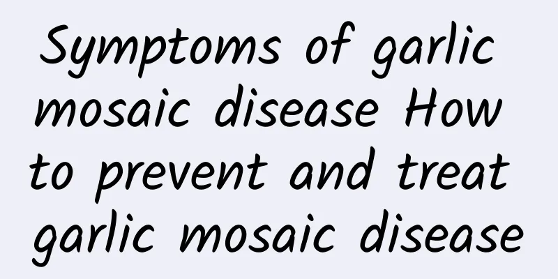 Symptoms of garlic mosaic disease How to prevent and treat garlic mosaic disease