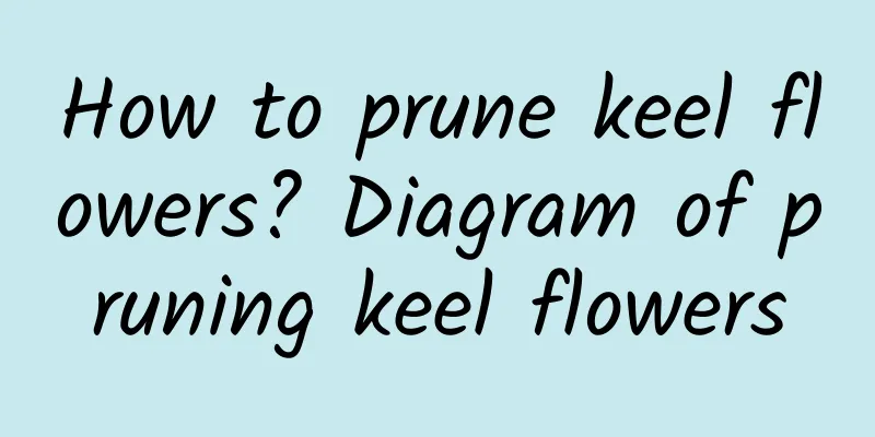 How to prune keel flowers? Diagram of pruning keel flowers