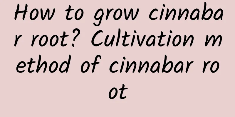 How to grow cinnabar root? Cultivation method of cinnabar root