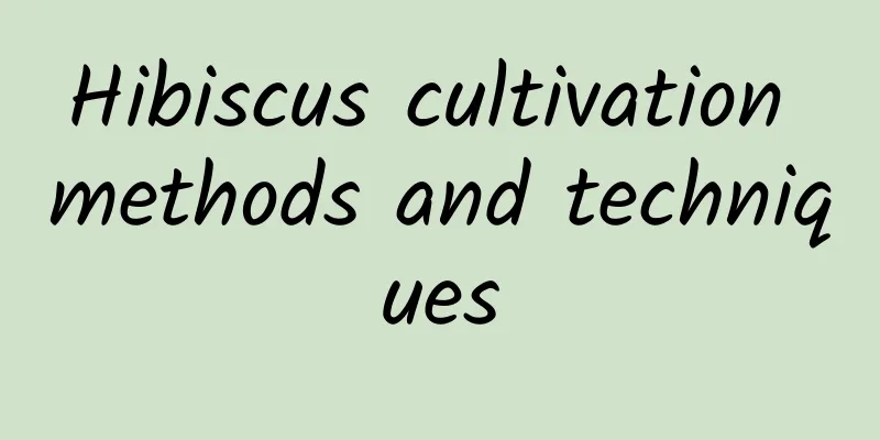 Hibiscus cultivation methods and techniques