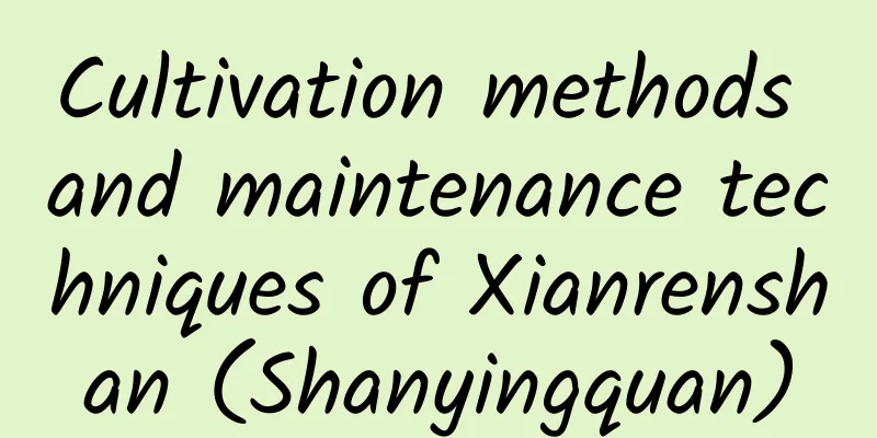 Cultivation methods and maintenance techniques of Xianrenshan (Shanyingquan)