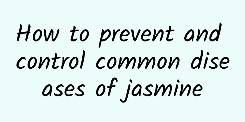 How to prevent and control common diseases of jasmine