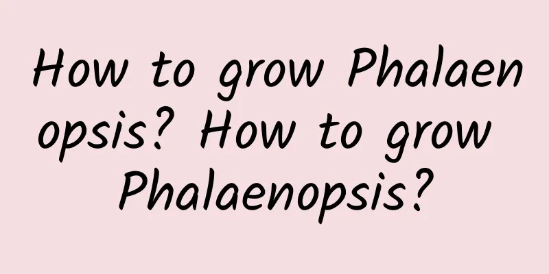 How to grow Phalaenopsis? How to grow Phalaenopsis?