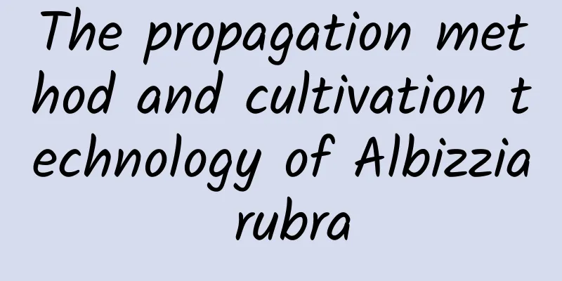 The propagation method and cultivation technology of Albizzia rubra