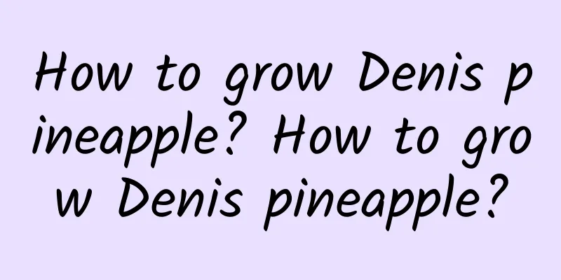 How to grow Denis pineapple? How to grow Denis pineapple?