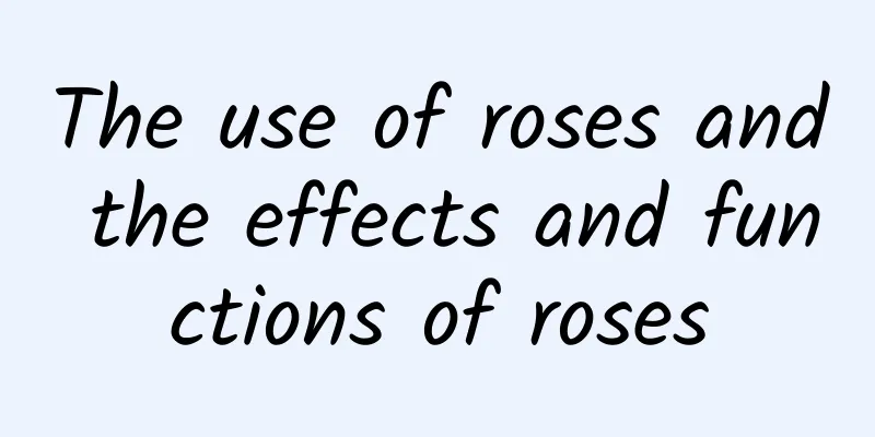 The use of roses and the effects and functions of roses