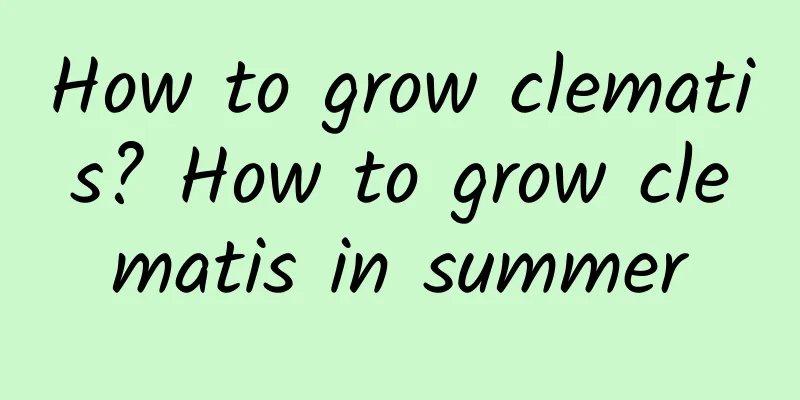 How to grow clematis? How to grow clematis in summer