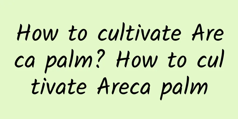 How to cultivate Areca palm? How to cultivate Areca palm