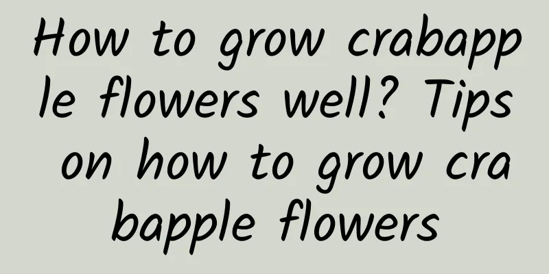 How to grow crabapple flowers well? Tips on how to grow crabapple flowers