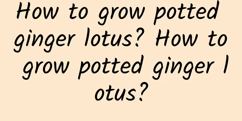 How to grow potted ginger lotus? How to grow potted ginger lotus?