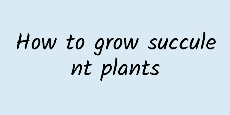 How to grow succulent plants