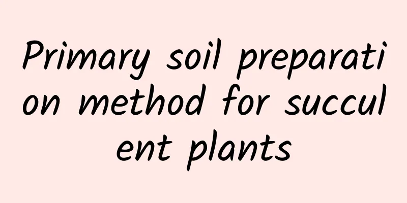 Primary soil preparation method for succulent plants