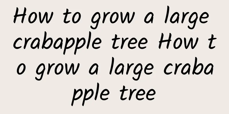 How to grow a large crabapple tree How to grow a large crabapple tree