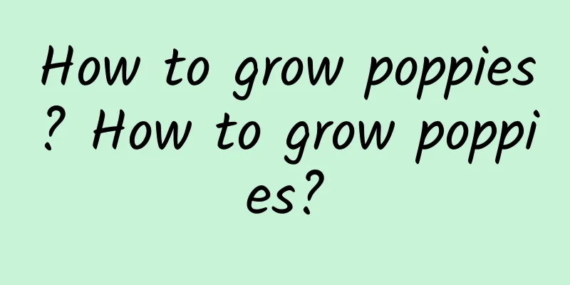 How to grow poppies? How to grow poppies?