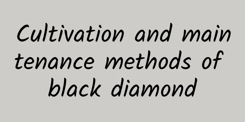 Cultivation and maintenance methods of black diamond