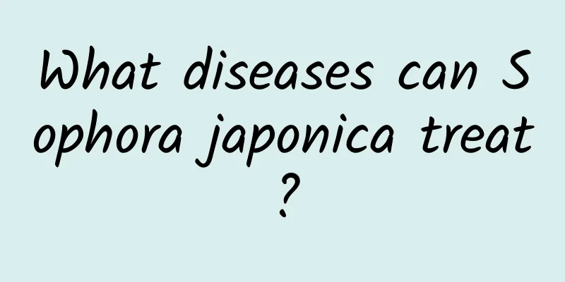 What diseases can Sophora japonica treat?