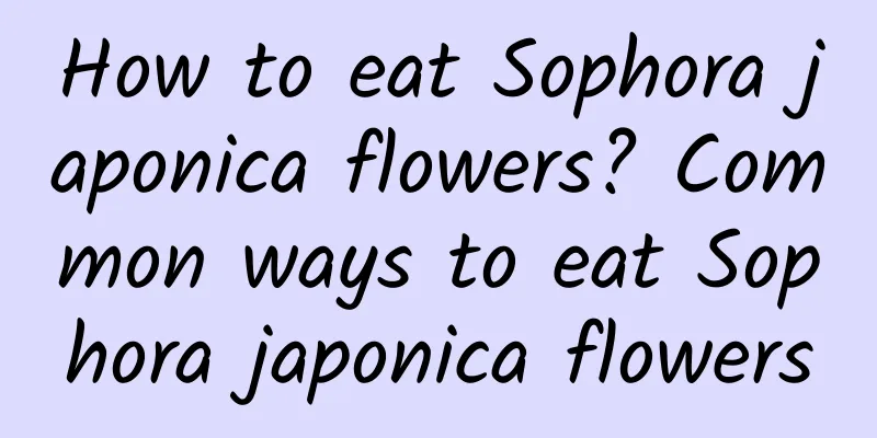 How to eat Sophora japonica flowers? Common ways to eat Sophora japonica flowers