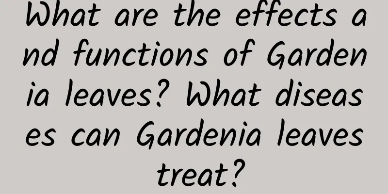 What are the effects and functions of Gardenia leaves? What diseases can Gardenia leaves treat?