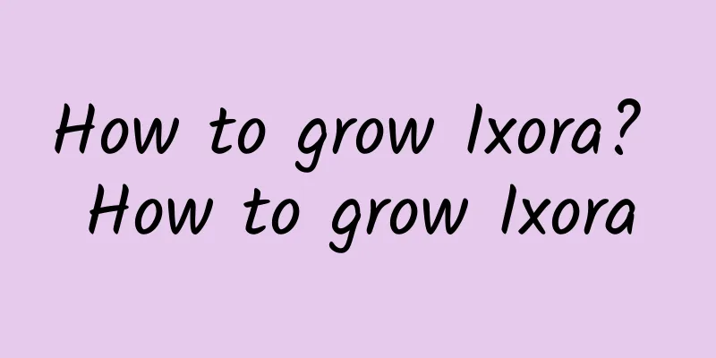 How to grow Ixora? How to grow Ixora