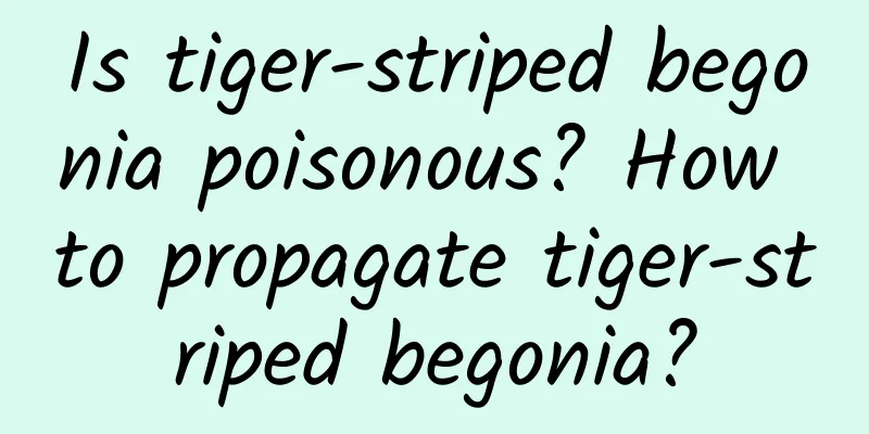 Is tiger-striped begonia poisonous? How to propagate tiger-striped begonia?