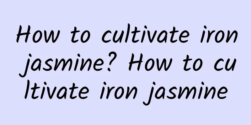 How to cultivate iron jasmine? How to cultivate iron jasmine