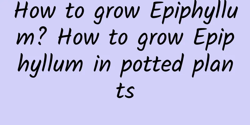 How to grow Epiphyllum? How to grow Epiphyllum in potted plants