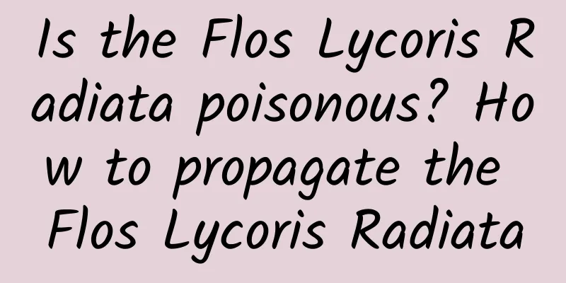 Is the Flos Lycoris Radiata poisonous? How to propagate the Flos Lycoris Radiata