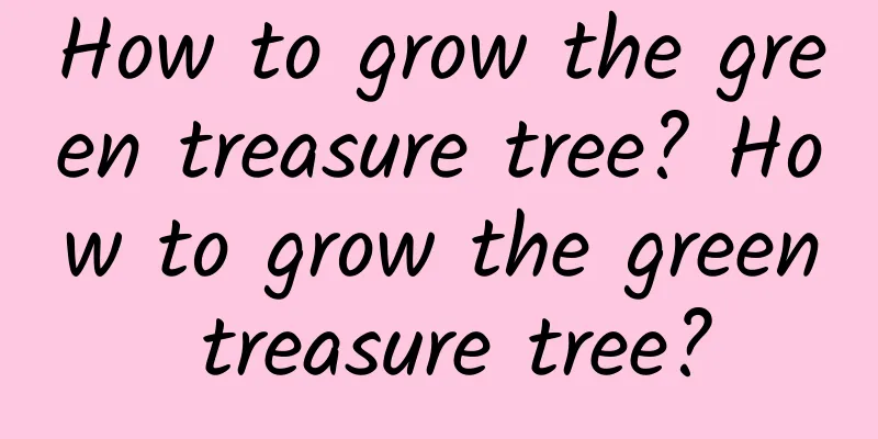 How to grow the green treasure tree? How to grow the green treasure tree?