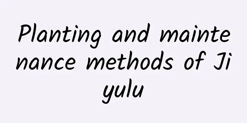 Planting and maintenance methods of Jiyulu