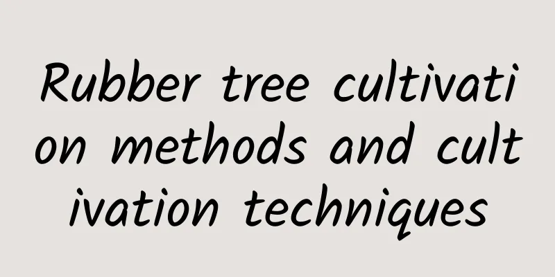 Rubber tree cultivation methods and cultivation techniques