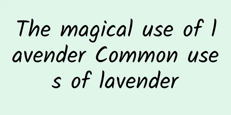 The magical use of lavender Common uses of lavender