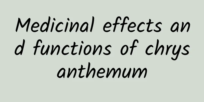 Medicinal effects and functions of chrysanthemum