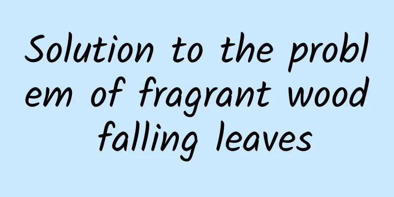 Solution to the problem of fragrant wood falling leaves