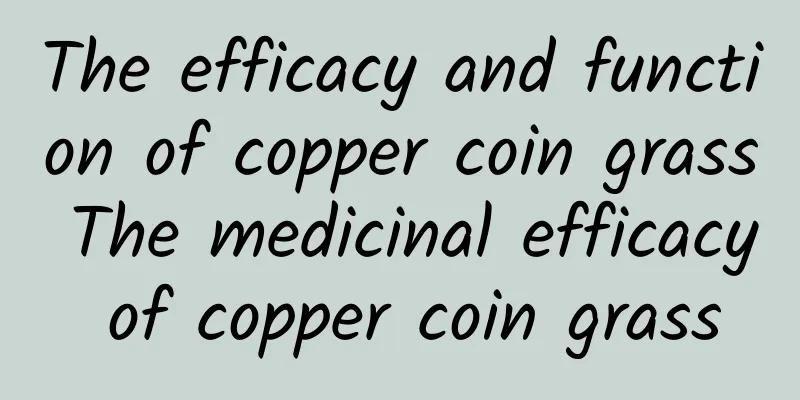 The efficacy and function of copper coin grass The medicinal efficacy of copper coin grass