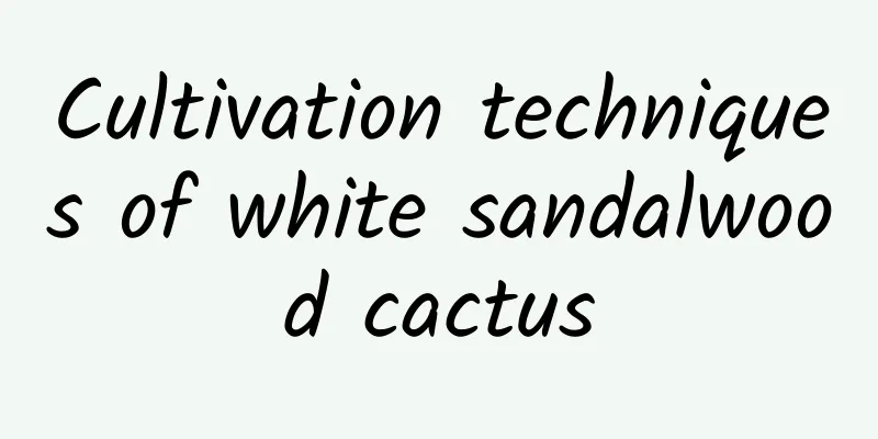 Cultivation techniques of white sandalwood cactus