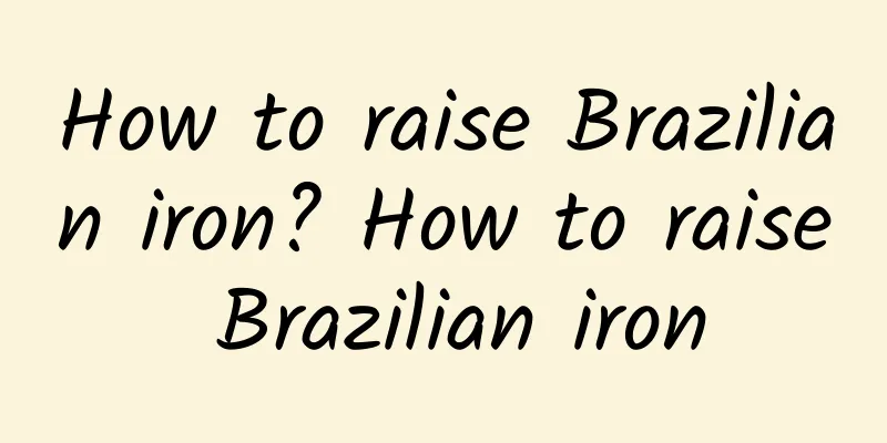 How to raise Brazilian iron? How to raise Brazilian iron