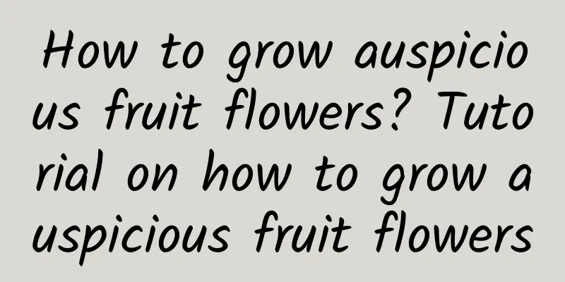 How to grow auspicious fruit flowers? Tutorial on how to grow auspicious fruit flowers