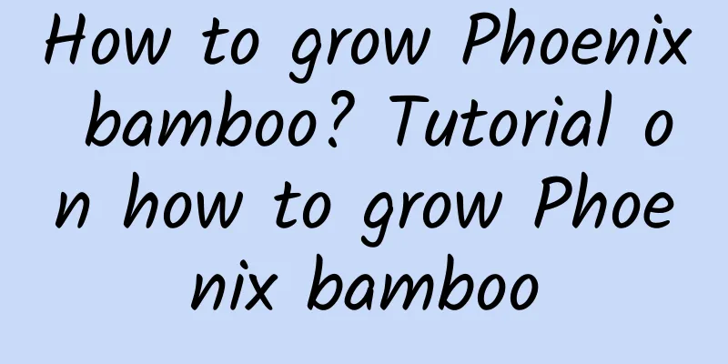 How to grow Phoenix bamboo? Tutorial on how to grow Phoenix bamboo