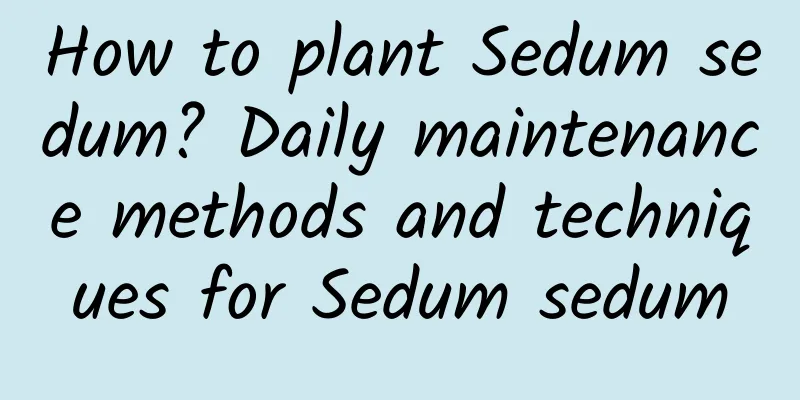 How to plant Sedum sedum? Daily maintenance methods and techniques for Sedum sedum