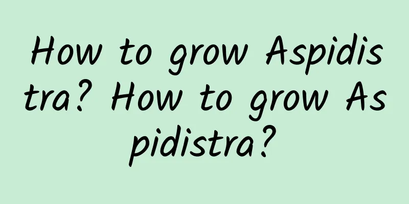 How to grow Aspidistra? How to grow Aspidistra?