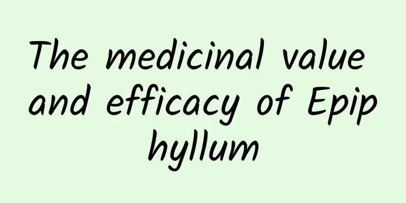 The medicinal value and efficacy of Epiphyllum