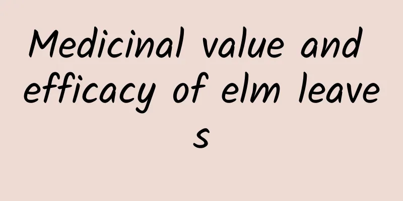 Medicinal value and efficacy of elm leaves