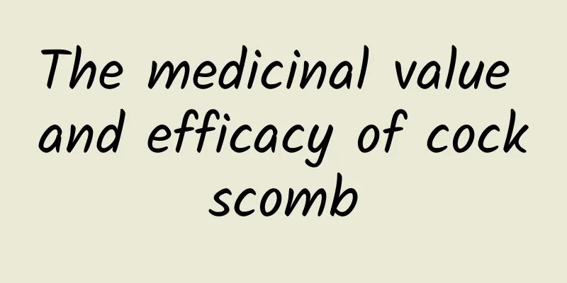 The medicinal value and efficacy of cockscomb