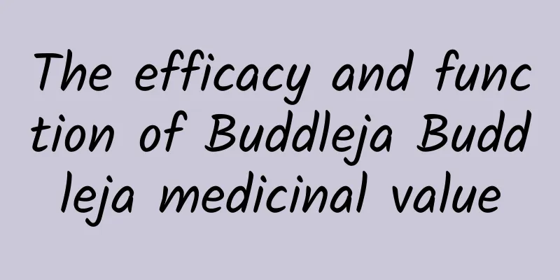 The efficacy and function of Buddleja Buddleja medicinal value