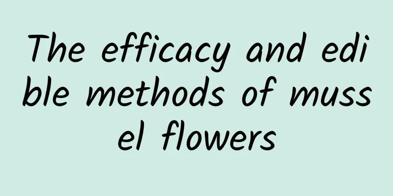 The efficacy and edible methods of mussel flowers