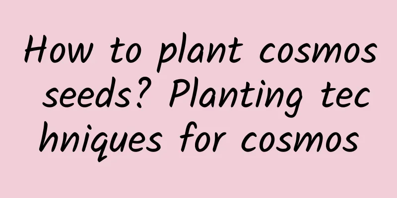 How to plant cosmos seeds? Planting techniques for cosmos